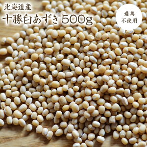 y}ցzV\Y y500gz_sgp ߘa7NY_򏬓 kCY  Ό_̓ 񂴂E DiȖ킢