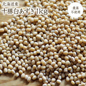 y}ցzV\Y y1kgz_sgp ߘa7NY_򏬓 kCY  Ό_̓