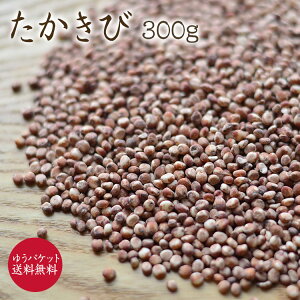 y䂤pPbg zב҂ 1018ח\肽 u300gv\Kсij 茧Y _sgp _͔| Y