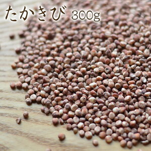 yzցzב҂ 1018ח\肽 u300gv\K 茧Yї _sgp _͔| Y