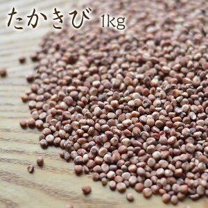 yzցz u1kgv\K 茧Yї _sgp _͔| Y