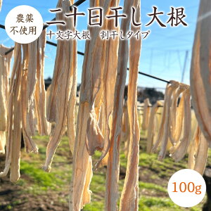 【宅急便】二十日干し大根 割干し大根 【100g】 群馬県産 十文字大根 農薬・化学肥料不使用 切干大根 割り干し大根 大根 大根 はりはり漬け 漬物
