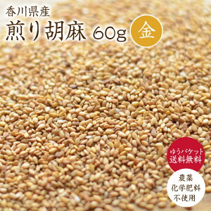 y䂤pPbg z Ӗ 60gyӖz쌧Y R͔| ߘa6NY Ӗ