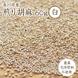 y}ցzӖ 60gyӖzR͔| ߘa6NY@쌧Y