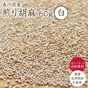 y䂤pPbg z Ӗ 60gyӖzR͔| ߘa6NY@쌧Y