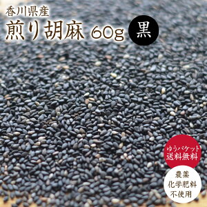 y䂤pPbg z Ӗ 60gyӖzR͔| ߘa6NY 쌧Y