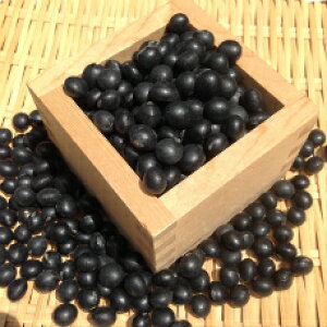 y ƖpzkCY 3.0 30kg 哤 ߘa6NY ϓpƂ pܑܓ