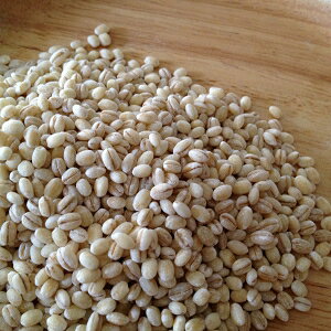 y䂤pPbg z۔ 300g×2pbN 茧Y 唞 barley