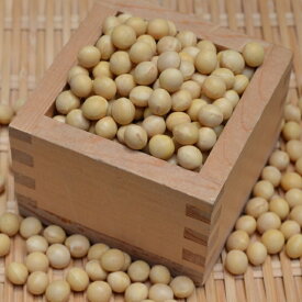 【送料無料 業務用】30kg 鶴の子大豆 「大粒 3.0分」 北海道産大豆 令和5年産 大豆 美味しい大豆 個人宅への配送は行っておりません。