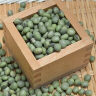 【ゆうパケット 送料無料】青大豆 「500g」山形県産 浸し豆 令和7年産 青バタ ひたし豆 青バタ 青豆 レシ…