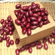 【ゆうパケット 送料無料】大正金時豆 「900g」北海道産 令和7年産金時豆 赤いんげん 金時うずら