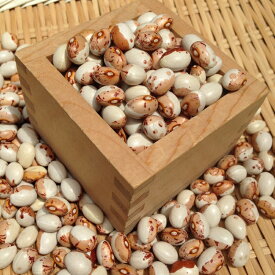 【ゆうパケット 送料無料】虎豆 「300g」北海道産 とら豆 令和5年産 新豆 高級彩豆 食べて美味しい煮豆の大様