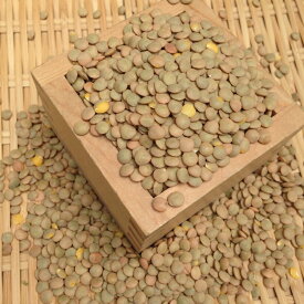 【ゆうパケット 送料無料】900g ブラウンレンズ豆(皮付き) 皮付きレンズ豆 茶レンズ アメリカ産