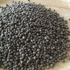 y䂤pPbgz () 200g 茧Y Y `Ӗ イ˂ _sgp