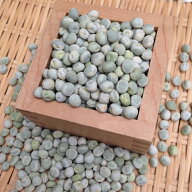 【宅急便】限定販売 青えんどう豆 「500g」中山農園の豆 令和8年産 北海道産 在来種 うぐいす豆