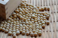 【ゆうパケット 送料無料】 無農薬大豆 「900g」 北海道産北海道大豆 とよまさり 農薬・化学肥料不使用 …