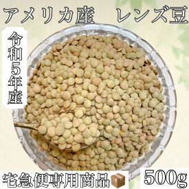 令和5年産　アメリカ産　レンズ豆　500g入　【宅急便専用商品　送料別】