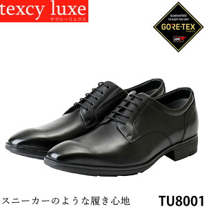 【割引クーポン対象商品】メンズ ビジネスシューズ ゴアテックス texcy luxe テクシーリュクス TU8001 防水 3E ふんわりインソール 消臭抗菌 コンビニ受取対応商品