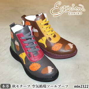 yN[|Ώۏiz  GX^VI C {v u[c MLE2322 ǂ񂮂 傤 H`[t 5wC\[ SR TCht@Xi[ Cz\[