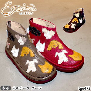 yN[|Ώۏiz GX^VI C u[c@{v TGE473 U[ RtH[g `[t