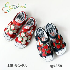 yN[|Ώۏiz GX^VI {v T_ TGX358 `[t@ 5w\[ ӂӂ C\[ tbg nhCh U[