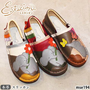 yN[|Ώۏiz GX^VI {v C JWA Xb| MSE194 U[ RtH[g `[t