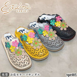 yN[|Ώۏiz GX^VI {v C T_ T{ TGE485 U[ ԃ`[t