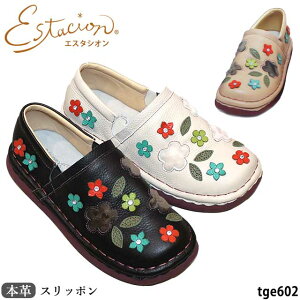 yN[|Ώۏiz GX^VI {v C JWA Xb| TGE602 U[ RtH[g  Ⴢ`[t 5w\[