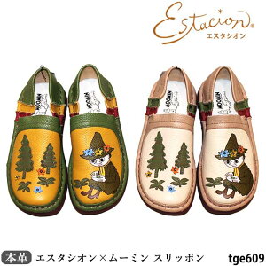 yGX^VI×[~R{2ezyN[|ΏۏizGX^VI {v C Xb| TGE609 U[ RtH[g [~ XitL `[t 5w\[