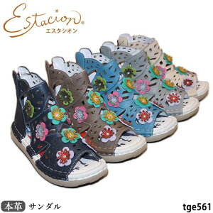 yN[|Ώۏiz GX^VI {v T_ C TGE561 U[ RtH[g OfBG[^[ ԃ`[t@F/C