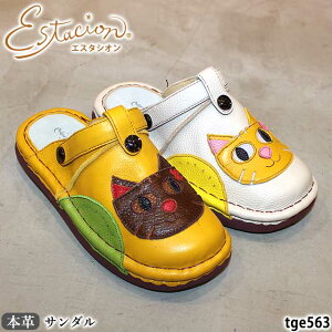 yN[|Ώۏiz GX^VI {v C T_@T{T_@2WAY^Cv TGE563 U[ RtH[g ˂`[t