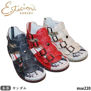 yN[|Ώۏiz GX^VI Estacion {v C T_ MSE220 u[cT_ JWAV[Y obNt@Xi[ 5w\[