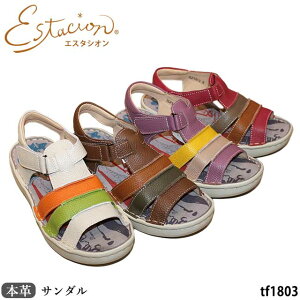 yN[|Ώۏiz GX^VI Estacion {v C T_ TF1803 t[`[t  5w\[