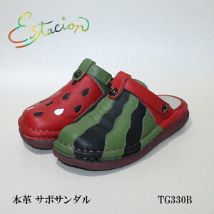 yN[|Ώۏiz GX^VI C T_ T{ TG330B `[t 2WAY 5w\[ EႤfUC TG330AƋtJ[