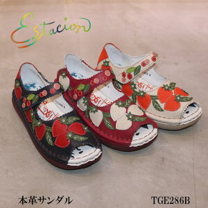 yN[|Ώۏiz  GX^VI Estacion C {v T_ TGE286B `[t 5wC\[