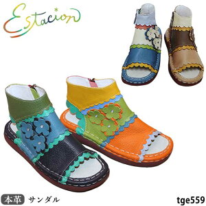yN[|ΏۏizGX^VI Estacion {v C T_ TGE559 ԃ`[t OfBG[^[ 5w\[