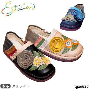 NEWy25AWVzyN[|Ώۏiz GX^VI Estacion {v C Xb| TGXE650 ԃ`[t 5w\[