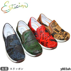 NEWy25AWVzyN[|Ώۏiz GX^VI Estacion {v C Xb| Y803AH nRf GATCN Cz.\[ 5w\[