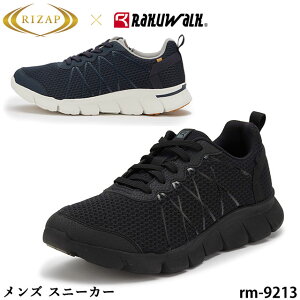 Y Xj[J[ RaKUWaLK NEH[N RIZAPR{ RM-9213 HAZUPCi[\[ ŵт̂ѕL݌v 4E ˍ ʋC y