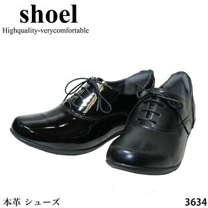 yN[|Ώۏiz{v Xj[J[ SHOEL V[ 3634 E3634 3E R^Cv h\[ ӂӂ4wC\[ ƃpbht tBbĝpvX q[2cm