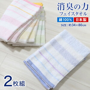 ^I tFCX^I @^I L 100 2g 34×80cm @ ʏ `^I 100 X[p[AjG[ L̗