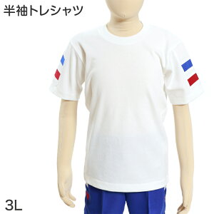 MbNX ̑ gVc 3L jq q  |Cg N[lbN  ̎q j̎q q LbY ^ ̈ Galax ()