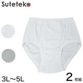 ブリーフ パンツ 綿100％ 大きいサイズ 2枚組 3L～5L (前あき メンズ 下着 コットン ゆったり 白 グレー 3l 4l 5l)