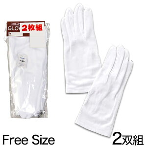 wlpiC 2g t[TCY (wlp iC 2o) ([LO)y񂹁z