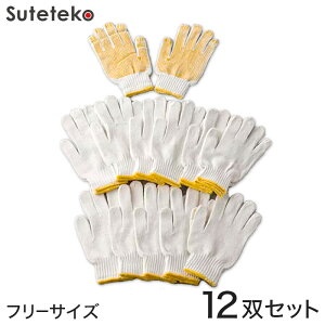 jp ~ߕtaR 12oZbg t[TCY (jp ~ R ܂Ƃߔ) ([LO)y񂹁z