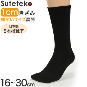 5{w\bNX fB[Xp  16cm`30cm (΍ ܖ{wC N[ 傫TCY wl  rWlX X|[c d)