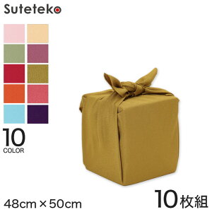 zD ڎOЖnC~ 10g 48cm×50cm (ӂ낵 ڎO ݂͂ cp c   蕨 i v[g j LOi S n)