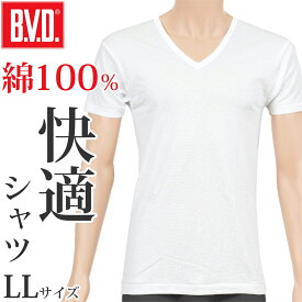 BVD インナー シャツ メンズ 半袖 綿100％ 白 Vネック 肌着 下着 着こなし ビジネス カジュアル スポーツ トレーニング LL (V首 男性 紳士 ホワイト コットン 大きいサイズ スーツ フォーマル)