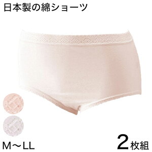 V[c [΂ 100 fB[X 2g M`LL 䒷V[c pc   Rbg [X wl  Ci[ { 60 70y񂹁z