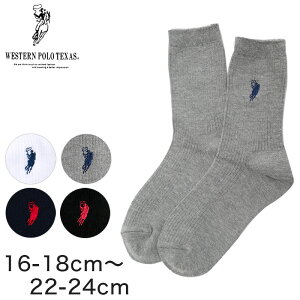 XN[\bNX |Cg LbY 16-18cm`22-24cm (XN[ C   q WjA N[\bNX w w j̎q ̎q ʊw {)